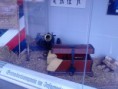 /album/urlaubsbilder/a2013-07-17-18-43-16-jpg/